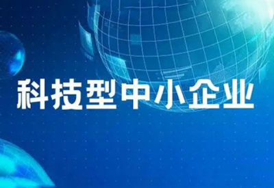 国家科技型中小企业认定 